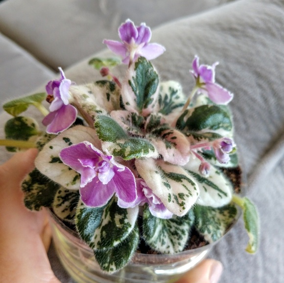 Welcome!! - Picture 8 of 9